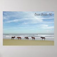 Chevaux sauvages Banques extérieures OBX Corolla N
