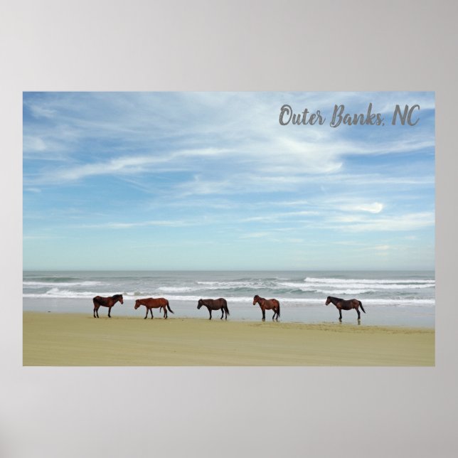 Affiche Chevaux sauvages Banques extérieures OBX Corolla N (Devant)