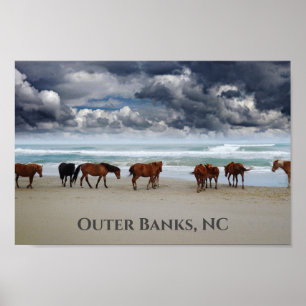 Affiche Chevaux sauvages Corolla Outer Banks NC