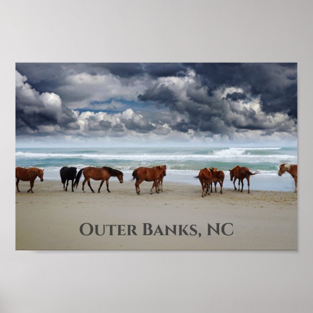 Affiche Chevaux sauvages Corolla Outer Banks NC (Devant)