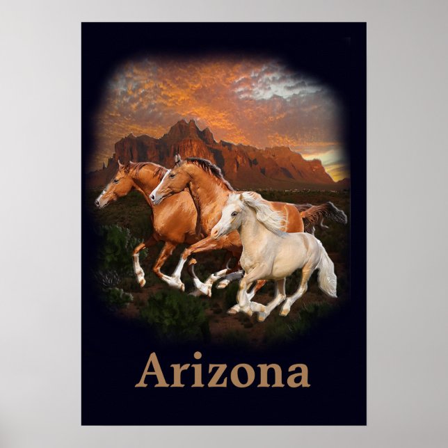Affiche Chevaux sauvages d'Arizona  (Devant)