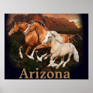 Affiche Chevaux sauvages d'Arizona