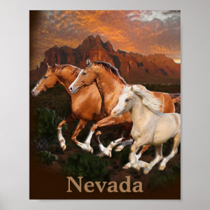 Affiche Chevaux sauvages d'Arizona
