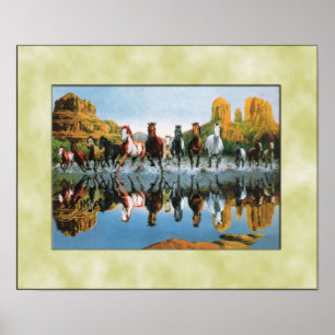 Affiche Chevaux sauvages fonctionnant par l'eau