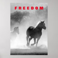 Chevaux sauvages Motivation Liberté Art