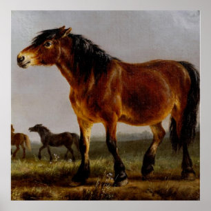 Affiche Chevaux sur le paysage plaine