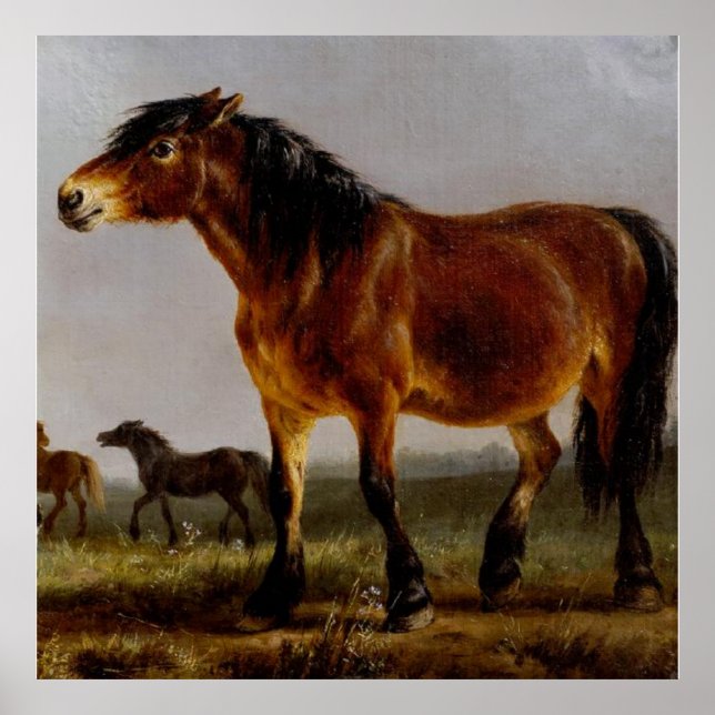 Affiche Chevaux sur le paysage plaine (Devant)