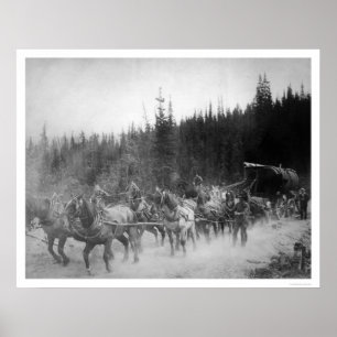 Affiche Chevaux sur terre Alaska 1908 de traînée