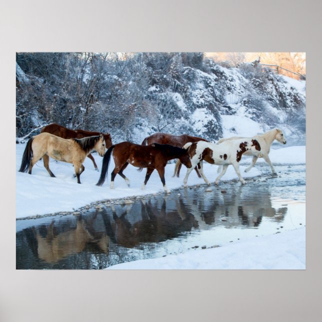 Affiche Chevaux traversant le ruisseau (Devant)