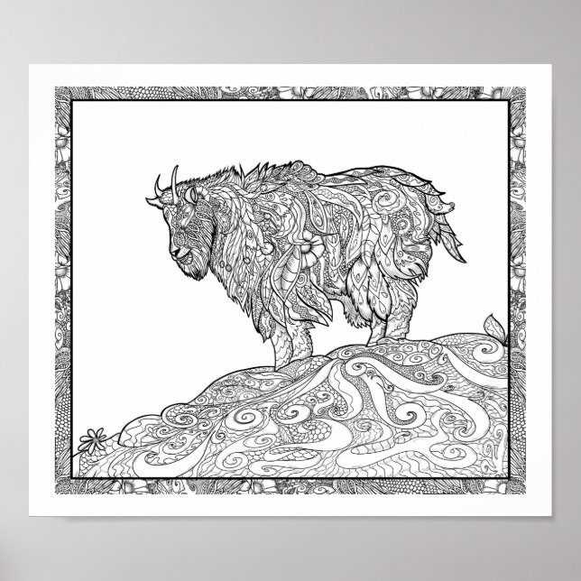 Affiche Chèvre de montagne de l'Alaska (Devant)