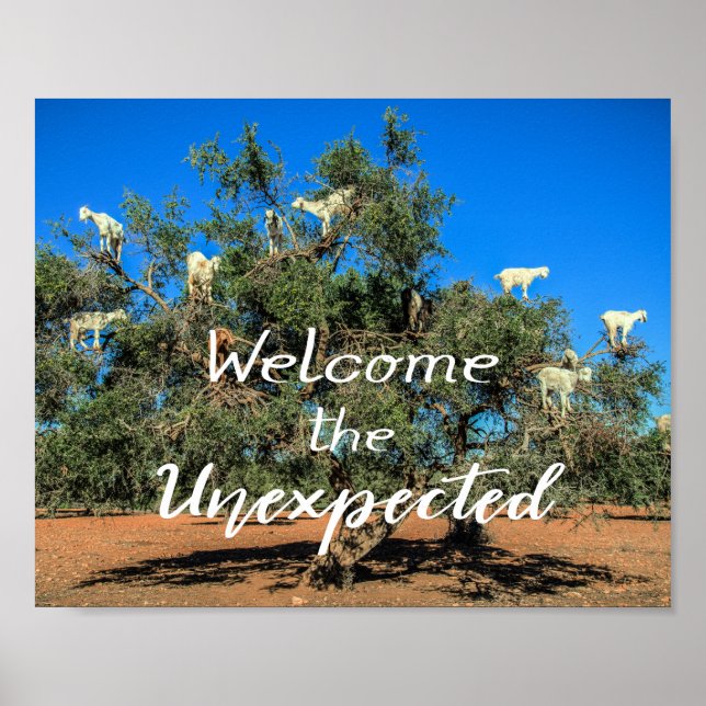 Affiche Chèvres dans les arbres Bienvenue à l'inattendu (Devant)