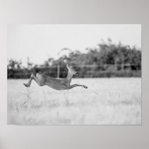 Affiche "Chevreuil sautant Photographie de faune noir et b