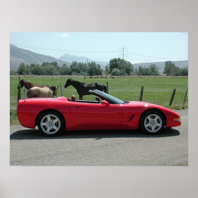 Affiche Chevrolet Corvette Convertible C5 (Devant)