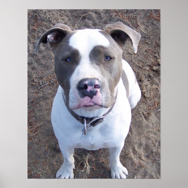 Affiche Chevy (Devant)