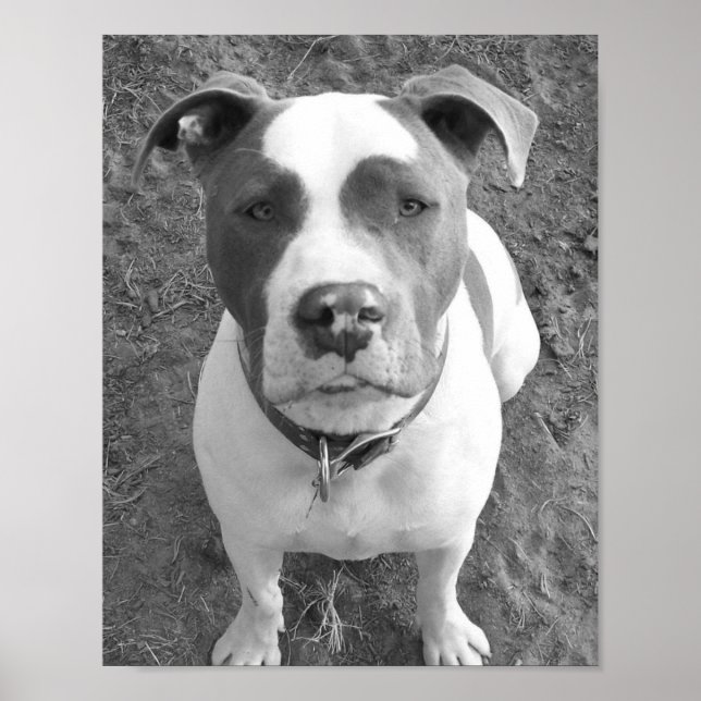 Affiche Chevy B/W (Devant)