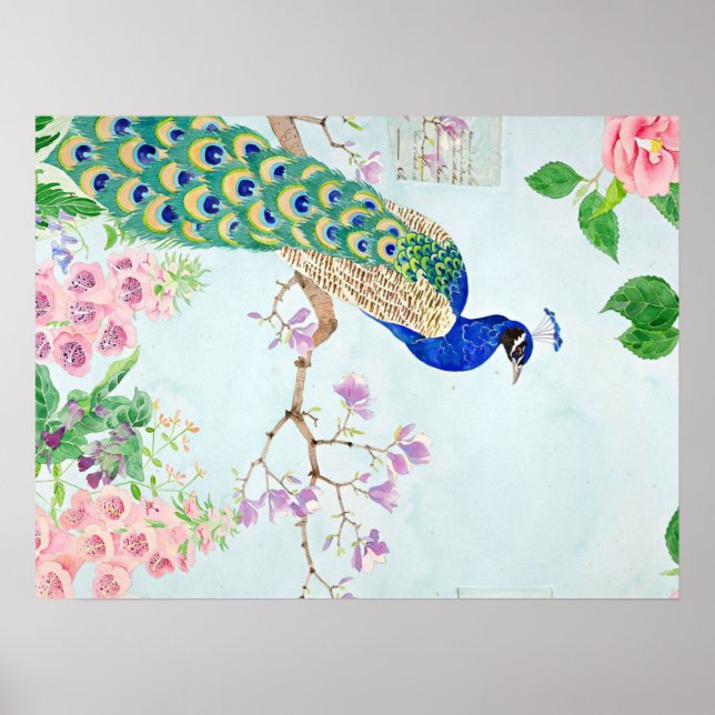 Affiche Chibi Peacock | Peacock Lover | Peacock Lover Art (Devant)