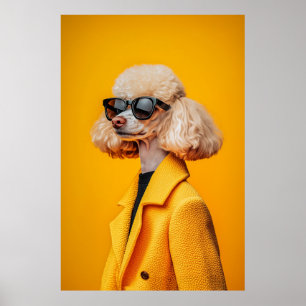 Affiche Chic Poodé en lunettes de soleil et manteau jaune