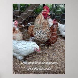 Affiche Chick chick fun