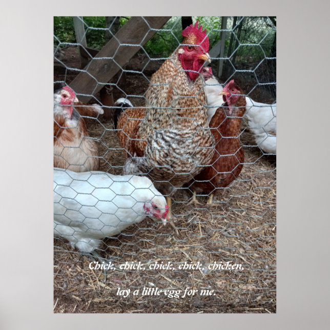 Affiche Chick chick fun (Devant)