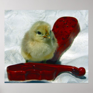 Affiche Chick musical