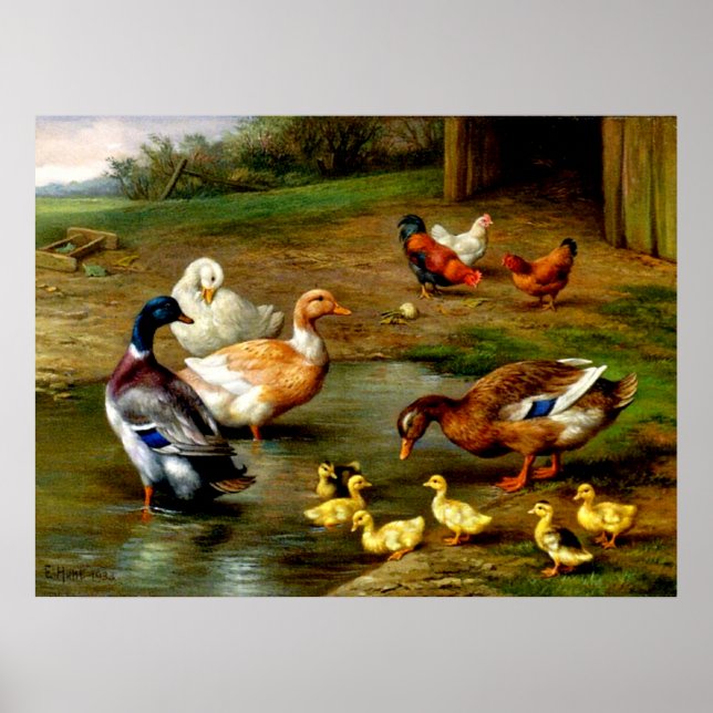 Affiche Chickens, Ducks And Ducklings At The Farm (Devant)
