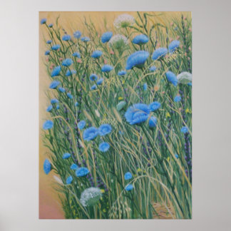 Affiche Chicorée sauvage et mauvaises herbes