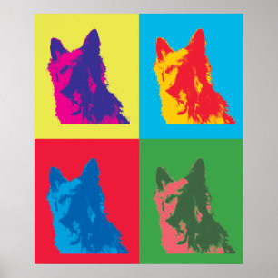 Affiche chien
