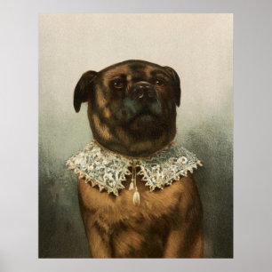 Affiche Chien