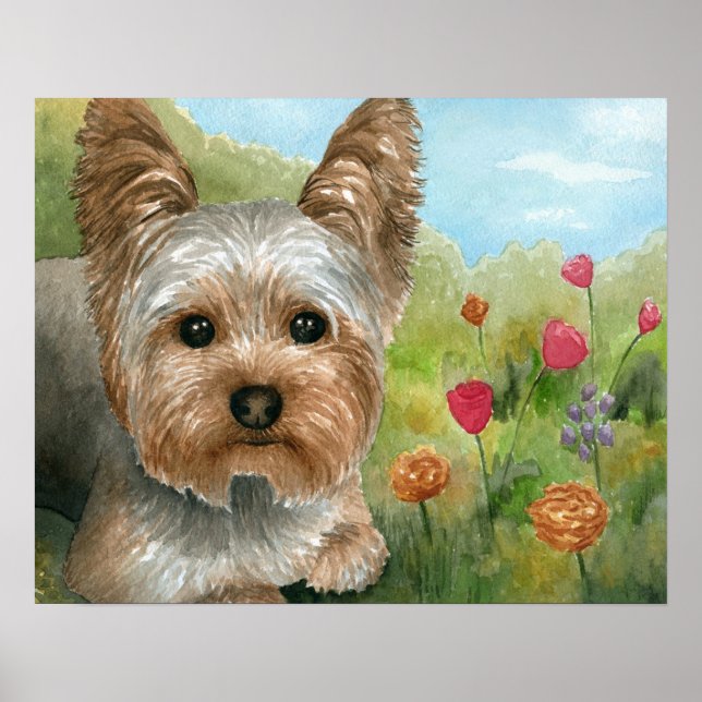 Affiche Chien 117 Yorkshire (Devant)