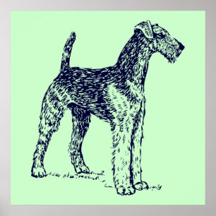 Affiche Chien Airedale