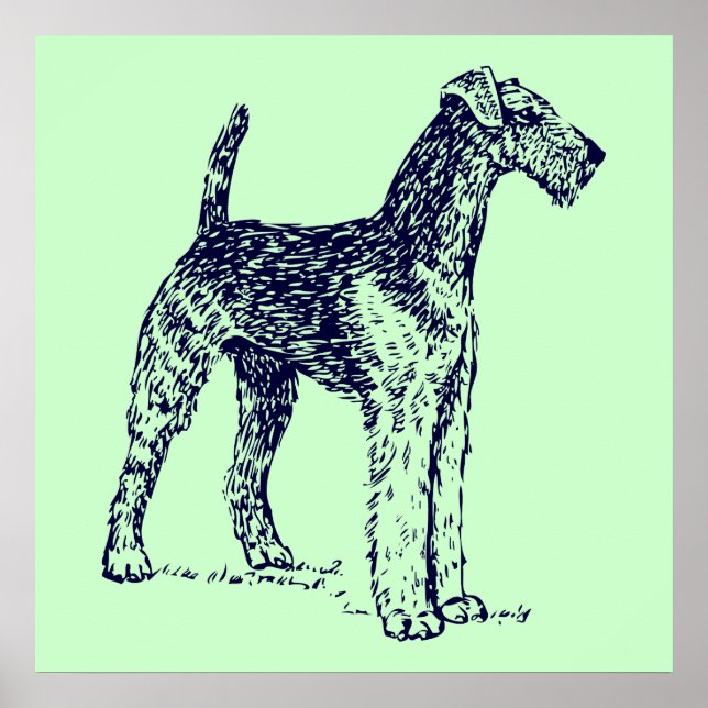 Affiche Chien Airedale (Devant)