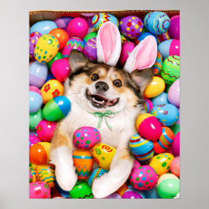 Affiche Chien allongé sur des œufs de Pâques
