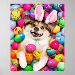 Affiche Chien allongé sur des œufs de Pâques