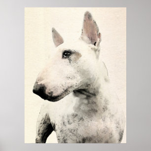 Affiche Chien anglais Bull Terrier