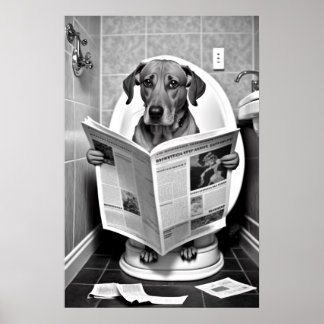 Affiche Chien assis sur les toilettes Lire un journal