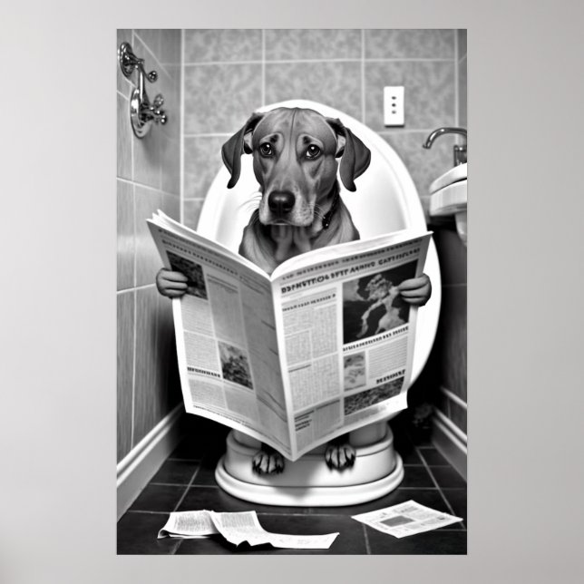 Affiche Chien assis sur les toilettes Lire un journal (Devant)