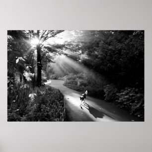 Affiche Chien au soleil du matin