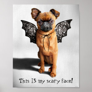 Affiche Chien aux ailes de chauve-souris