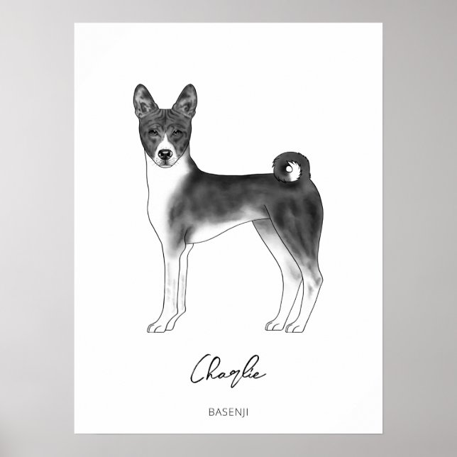 Affiche Chien Basenji noir et blanc avec texte personnalis (Devant)