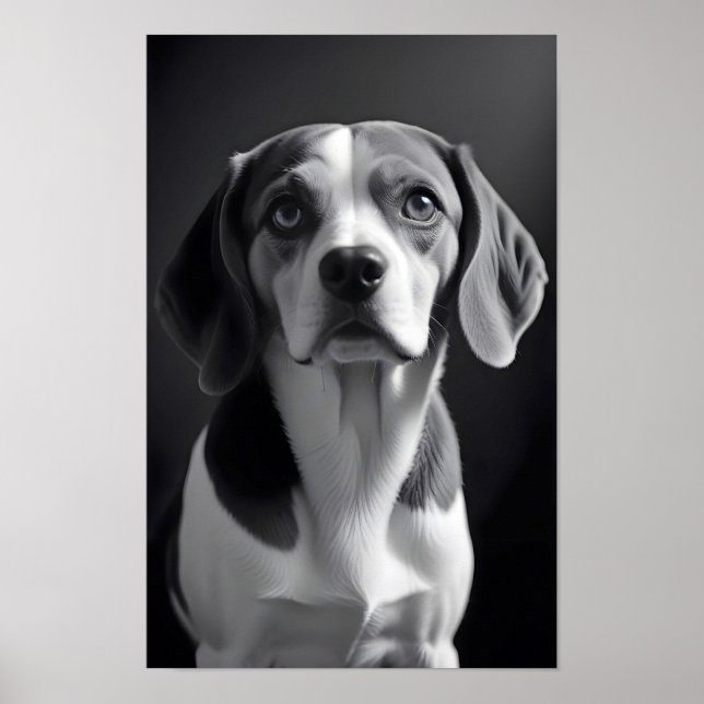 Affiche Chien beagle adorable animal de compagnie Portrait (Devant)