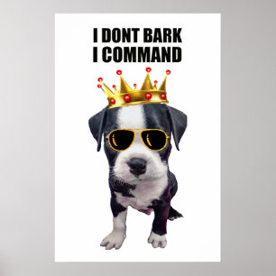 Affiche Chien bébé cool avec une phrase drôle en haut