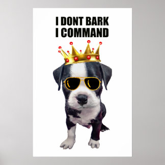 Affiche Chien bébé cool avec une phrase drôle en haut