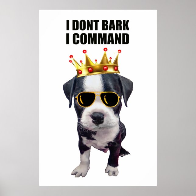 Affiche Chien bébé cool avec une phrase drôle en haut (Devant)