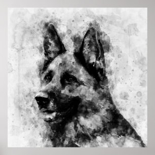 Affiche Chien berger allemand Aquarelle noir et blanc