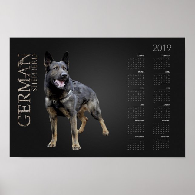 Affiche Chien berger allemand - Calendrier GSD 2019 (Devant)