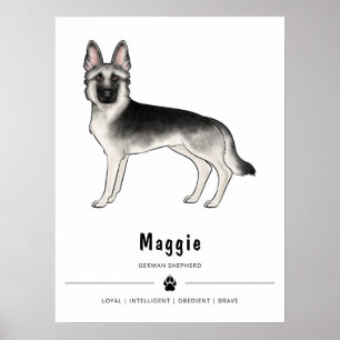 Affiche Chien Berger Allemand Silver Sable et texte person