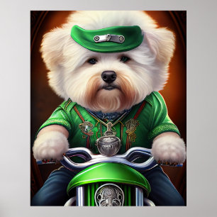 Affiche Chien Bichon Frisé conduisant un vélo pour la Sain