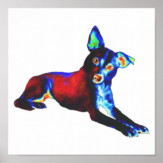 Affiche Chien bleu (Devant)