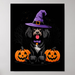 Affiche Chien Caniche Standard Noir Sorcière d'Halloween p