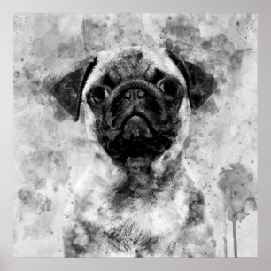 Affiche Chien Carlin Noir et Blanc Aquarelle 01